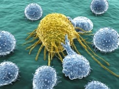 Cells