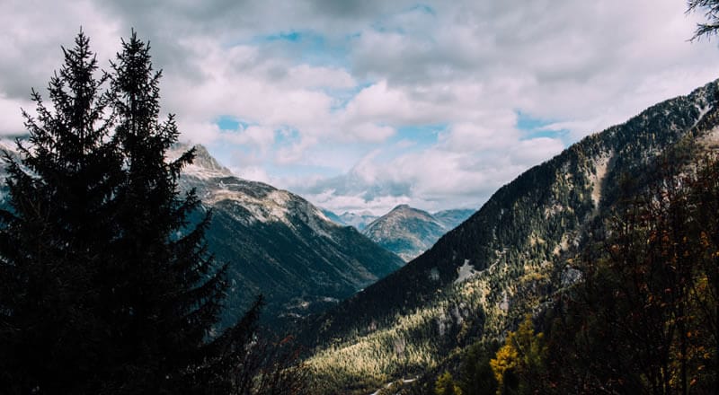 Trees and Snow-capped Mountains