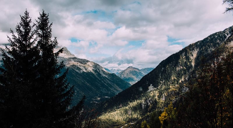 Trees and Snow-capped Mountains